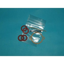 Kit piezas carburador DELLORTO