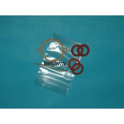 Kit piezas carburador DELLORTO 13 al 19